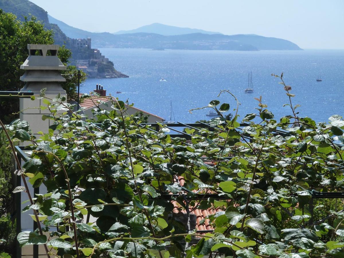 Panoramic Apartment Lujak Dubrovník Exteriér fotografie